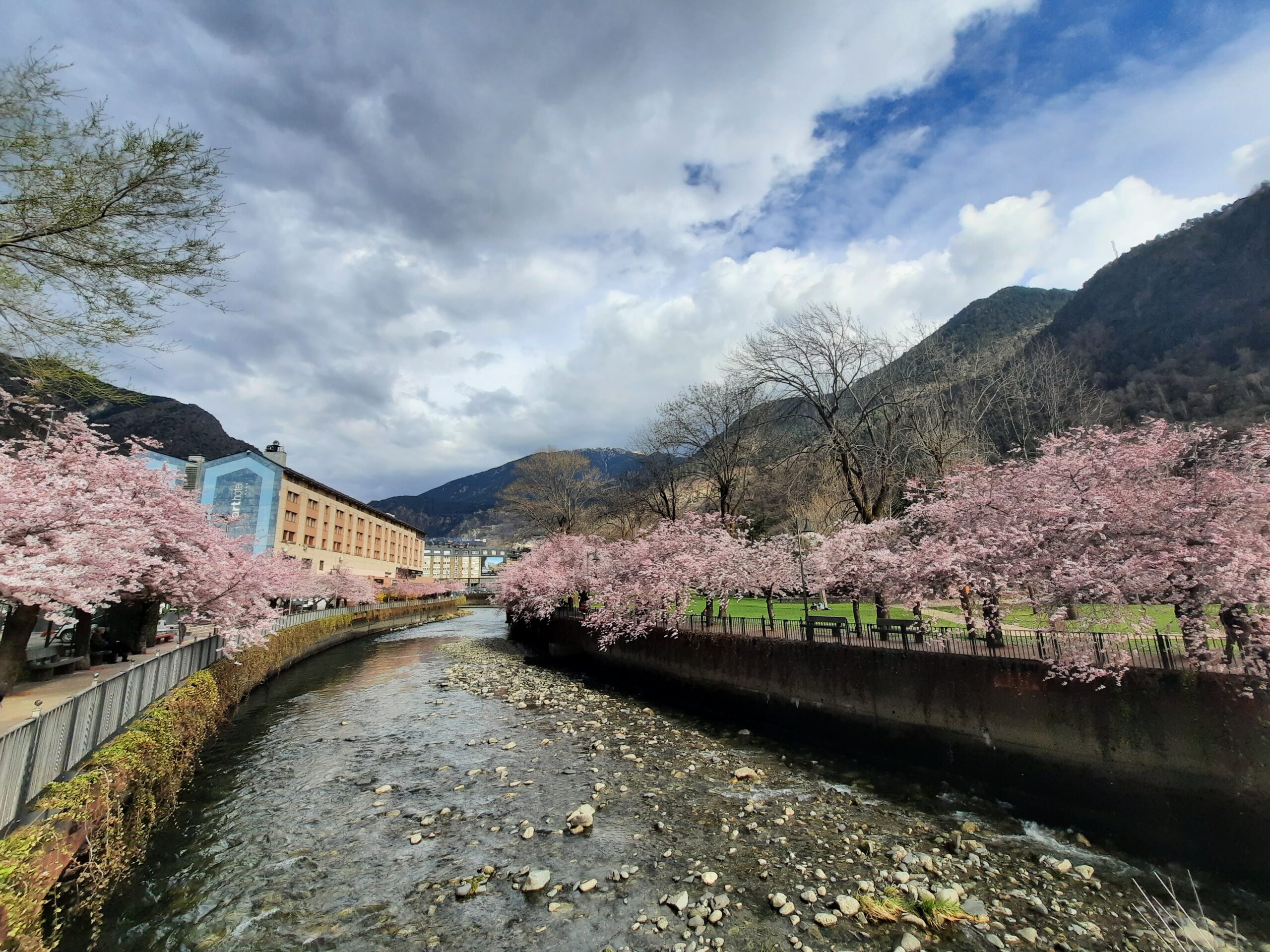 Spring cherry blossoms along the river in Andorra La Vella.