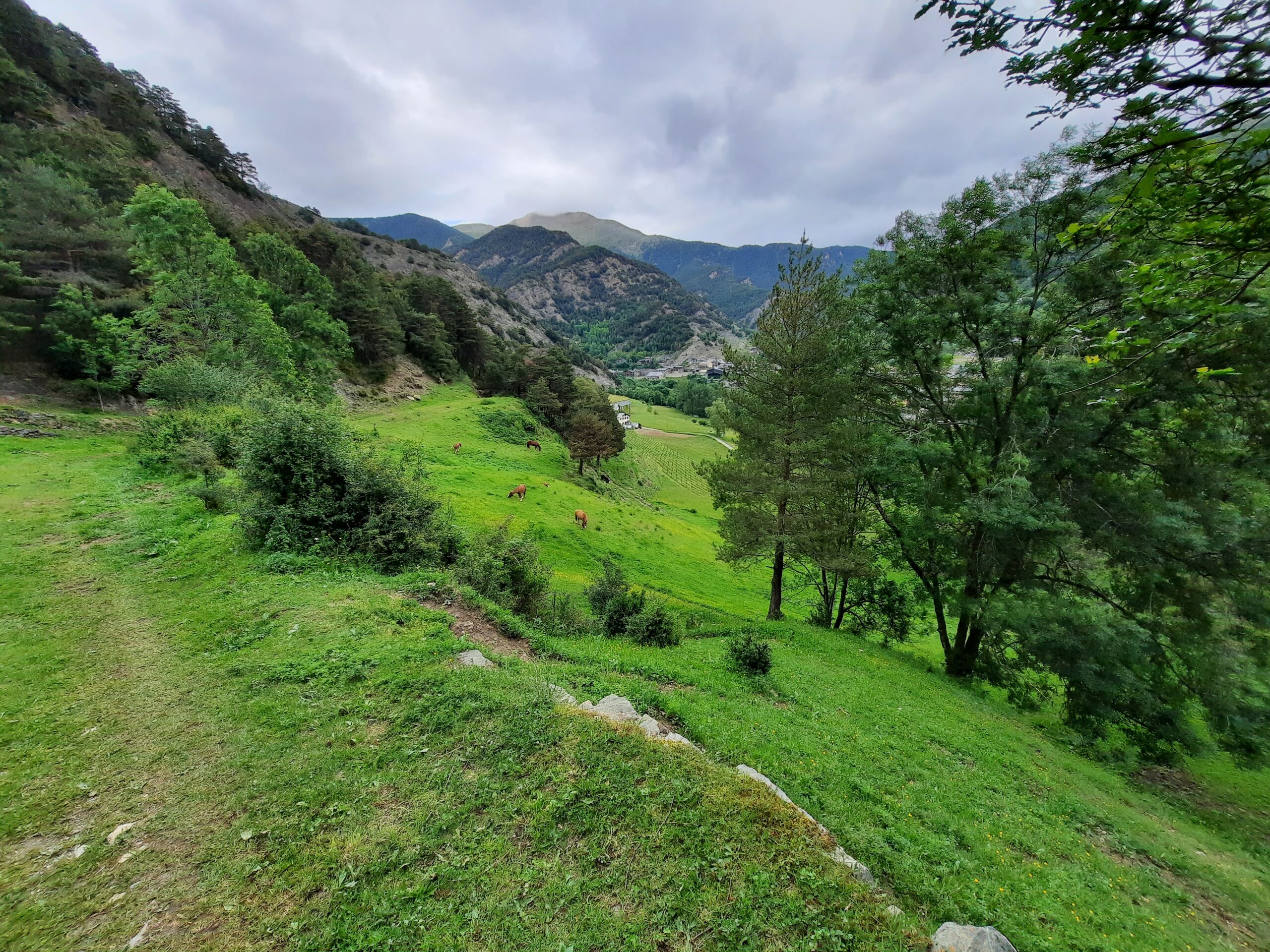 Photo of horses in fields with mountains surrounding, taken near Ordino in Andorra.